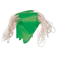 Prochoice 30m Day Bunting Green