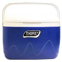 Thortz 21L Ice Box